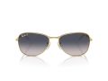 Ray-Ban Gafas de Sol RB 3733 001/78