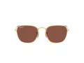 Ray-Ban Frank Gafas de Sol RB 3857 9196/AF