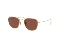 Ray-Ban Frank Gafas de Sol RB 3857 9196/AF