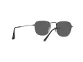Ray-Ban Frank Gafas de Sol RB 3857 9229/B1