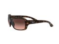Ray-Ban Rb4068 Gafas de Sol RB 4068 642/A5