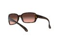 Ray-Ban Rb4068 Gafas de Sol RB 4068 642/A5