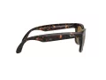 Ray-Ban Folding Wayfarer Gafas de Sol RB 4105 710