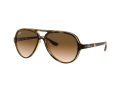 Ray-Ban Cats 5000 Gafas de Sol RB 4125 710/51