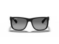 Ray-Ban Justin Gafas de Sol 4165 622/T3