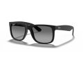 Ray-Ban Justin Gafas de Sol 4165 622/T3
