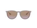 Ray-Ban Erika Gafas de Sol RB 4171 6000/68