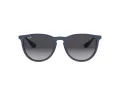 Ray-Ban Erika Gafas de Sol RB 4171 6002/8G
