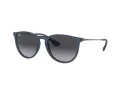 Ray-Ban Erika Gafas de Sol RB 4171 6002/8G