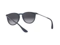 Ray-Ban Erika Gafas de Sol RB 4171 6002/8G
