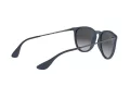 Ray-Ban Erika Gafas de Sol RB 4171 6002/8G