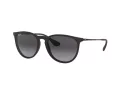 Ray-Ban Erika Gafas de Sol RB 4171 622/8G