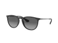 Ray-Ban Erika Gafas de Sol RB 4171 622/T3