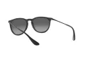 Ray-Ban Erika Gafas de Sol RB 4171 622/T3