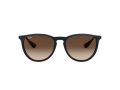 Ray-Ban Erika Gafas de Sol RB 4171 6315/13