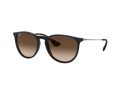 Ray-Ban Erika Gafas de Sol RB 4171 6315/13