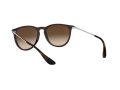 Ray-Ban Erika Gafas de Sol RB 4171 6315/13