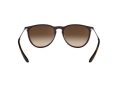 Ray-Ban Erika Gafas de Sol RB 4171 6315/13