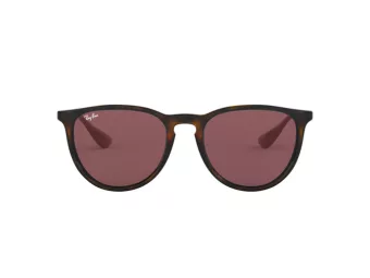 Ray-Ban Erika Gafas de Sol RB 4171 6391/75