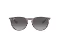 Ray-Ban Erika Gafas de Sol RB 4171 65138G