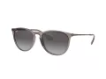 Ray-Ban Erika Gafas de Sol RB 4171 65138G