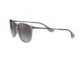Ray-Ban Erika Gafas de Sol RB 4171 65138G