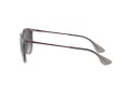 Ray-Ban Erika Gafas de Sol RB 4171 65138G