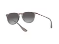Ray-Ban Erika Gafas de Sol RB 4171 65138G