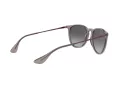 Ray-Ban Erika Gafas de Sol RB 4171 65138G