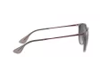 Ray-Ban Erika Gafas de Sol RB 4171 65138G