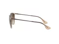 Ray-Ban Erika Gafas de Sol RB 4171 651413