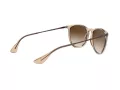 Ray-Ban Erika Gafas de Sol RB 4171 651413