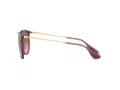 Ray-Ban Erika Gafas de Sol RB 4171 6591/14