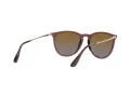 Ray-Ban Erika Gafas de Sol RB 4171 6593T5
