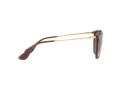 Ray-Ban Erika Gafas de Sol RB 4171 6593T5