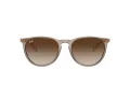 Ray-Ban Erika Gafas de Sol RB 4171 674413