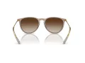 Ray-Ban Erika Gafas de Sol RB 4171 674413