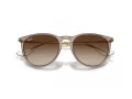 Ray-Ban Erika Gafas de Sol RB 4171 674413