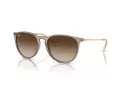 Ray-Ban Erika Gafas de Sol RB 4171 674413