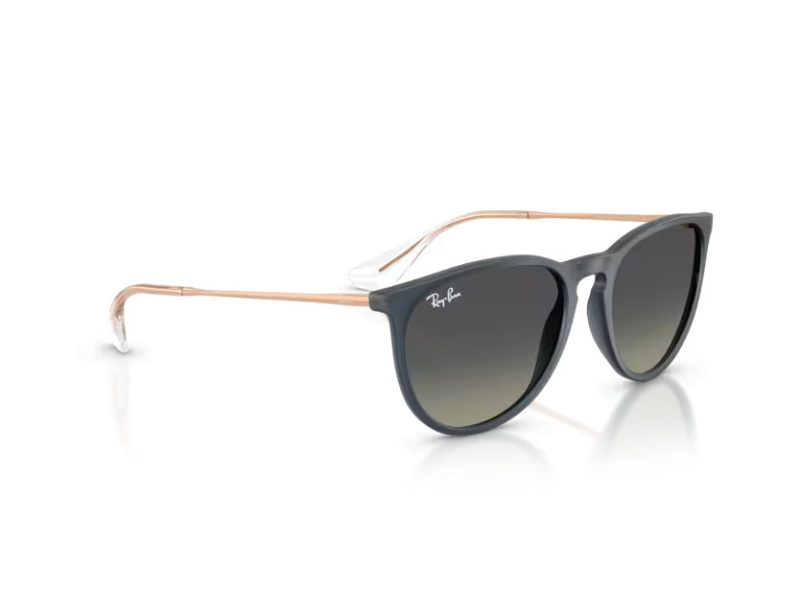 Ray-Ban Erika Gafas de Sol RB 4171 681311