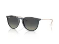 Ray-Ban Erika Gafas de Sol RB 4171 681311