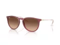 Ray-Ban Erika Gafas de Sol RB 4171 6815A5