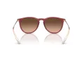 Ray-Ban Erika Gafas de Sol RB 4171 6815A5