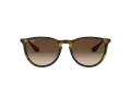 Ray-Ban Erika Gafas de Sol RB 4171 865/13