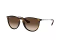 Ray-Ban Erika Gafas de Sol RB 4171 865/13