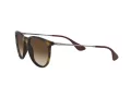 Ray-Ban Erika Gafas de Sol RB 4171 865/13