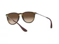 Ray-Ban Erika Gafas de Sol RB 4171 865/13