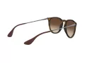 Ray-Ban Erika Gafas de Sol RB 4171 865/13