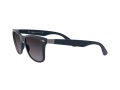 Ray-Ban Wayfarer Liteforce Gafas de Sol RB 4195 6331/8G