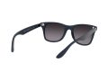 Ray-Ban Wayfarer Liteforce Gafas de Sol RB 4195 6331/8G